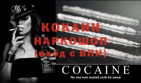 винт Няндома