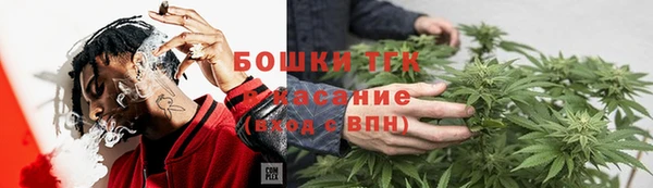 крисы Осинники