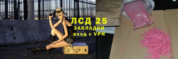 крисы Осинники