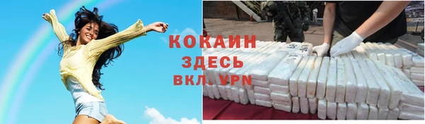 индика Нязепетровск