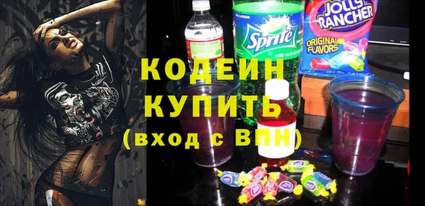 индика Нязепетровск