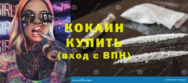 винт Няндома