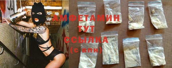 индика Нязепетровск
