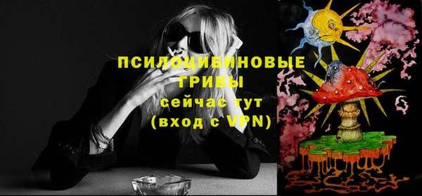 шишки Дедовск