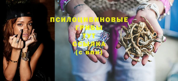 винт Няндома