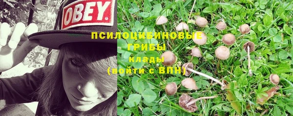 СК Осташков