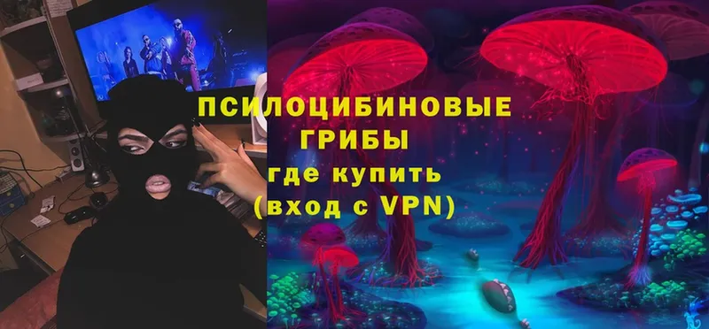 продажа наркотиков  Ковылкино  KRAKEN сайт  Галлюциногенные грибы Psilocybe 