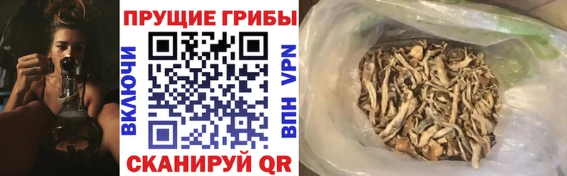 как найти закладки Ковылкино ссылка на мегу tor Псилоцибиновые грибы мухоморы